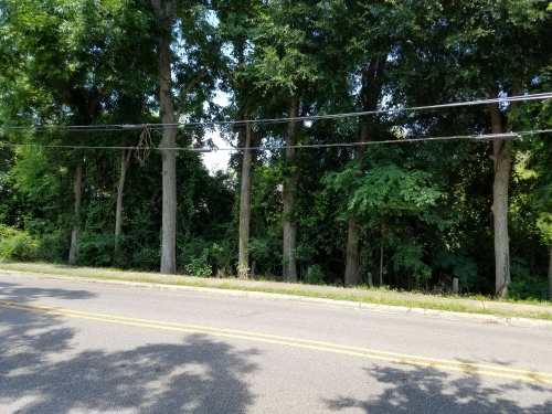 View of "Deers Pasture" from Mt. Pleasant Ave. This was an open area Scout and Jem passed through. According to Rabun Williams of the Monroe County Heritage Museums, this has always been a low spot on which there've been no buildings.
